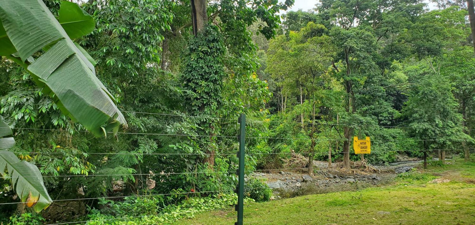 Kizumba House Vandrarhem Arusha Exteriör bild