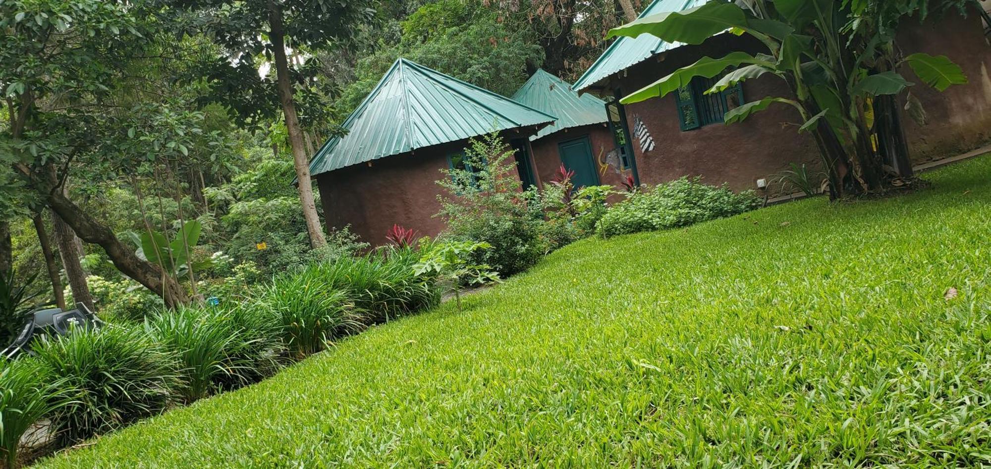 Kizumba House Vandrarhem Arusha Exteriör bild
